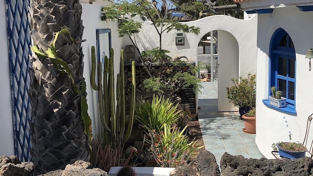 Un patio con muro de piedra, una palmera y cactus.