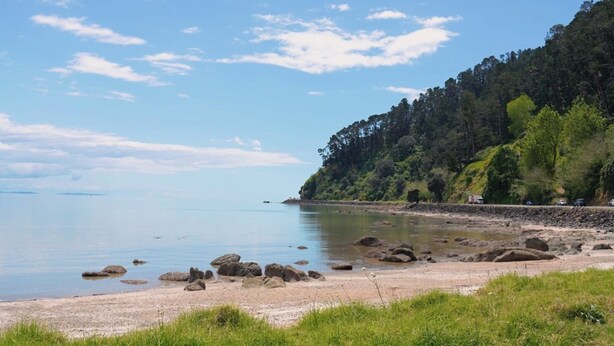 A coastal landscape with a sandy beach, calm water, and a forested hillside. - Comfort Inn Sunset (Thames)