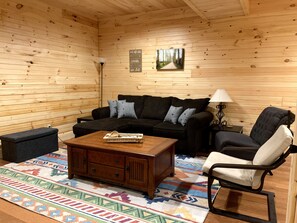 Smart TV, fireplace, video library