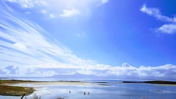在海灘附近