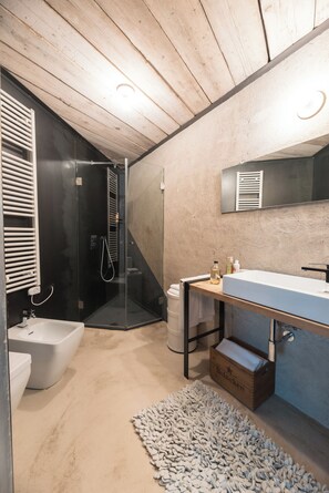 Shower, hair dryer, bidet, towels