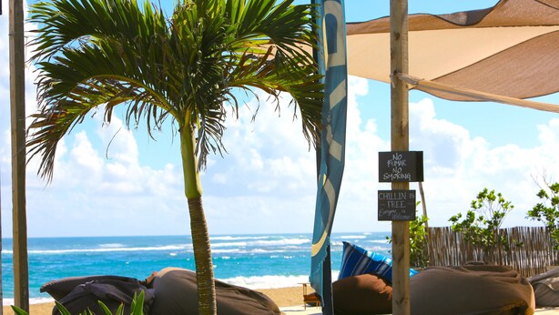 A beachside lounge with a view of the ocean, palm trees, and a sign indicating no smoking. - KiteBeach Agualina Oceanfront Condo Complex in Hotel (Cabarete)