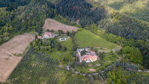 Aerial view - Fattoria di Cintoia (Pontassieve)