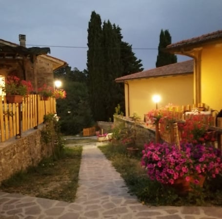 Building design. Fattoria di Cintoia