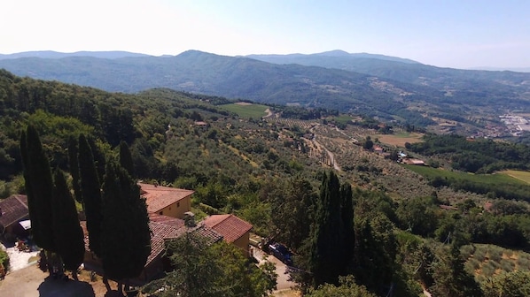 A rural landscape with rolling hills, a vineyard, and a few buildings with red-tiled roofs.