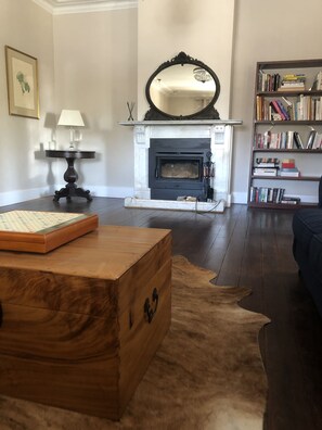 Smart TV, fireplace, books
