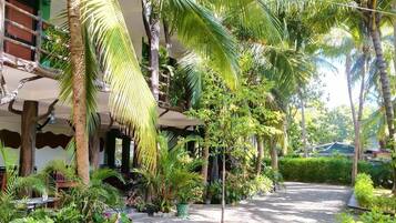 Khuôn viên nơi lưu trú