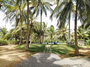 Kolam renang outdoor