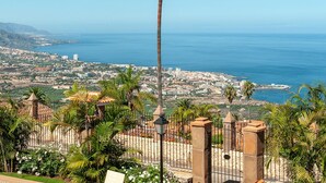 A coastal cityscape with a prominent palm tree in the foreground, a clear view of the sea, and a densely built urban area in the background.