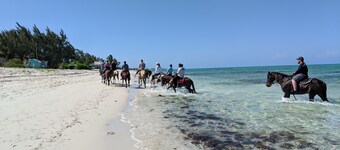 Nydelig studio ved bassenget (#B) -2 minutter. gå til kite beach