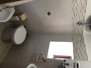 Shower, hair dryer, bidet