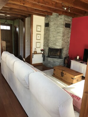 Televisión, chimenea y libros 