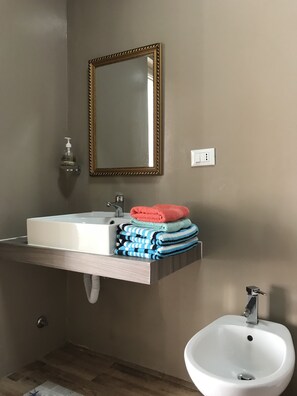 Shower, hair dryer, bidet, towels