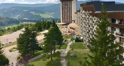 Appartement cosy au pied des pistes, animaux admis