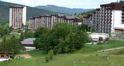 Renovated 18m² studio at the foot of the slopes in Villard-de-Lans