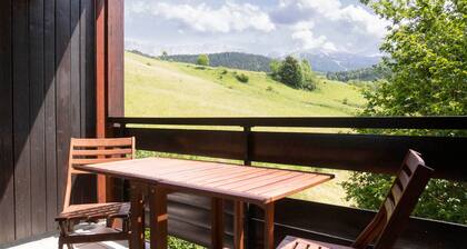 Bright studio cabin with parking in Villard-de-Lans