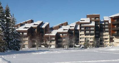 32m² Studio at Ski Slopes Foot in Corrençon