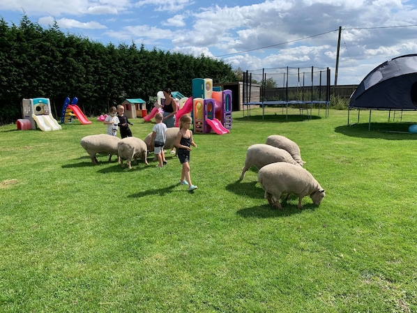 Children’s area