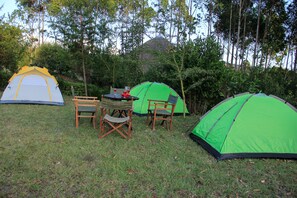 Aire de pique-nique/barbecue