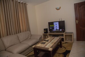 TV, Netflix, DVD player, streaming services