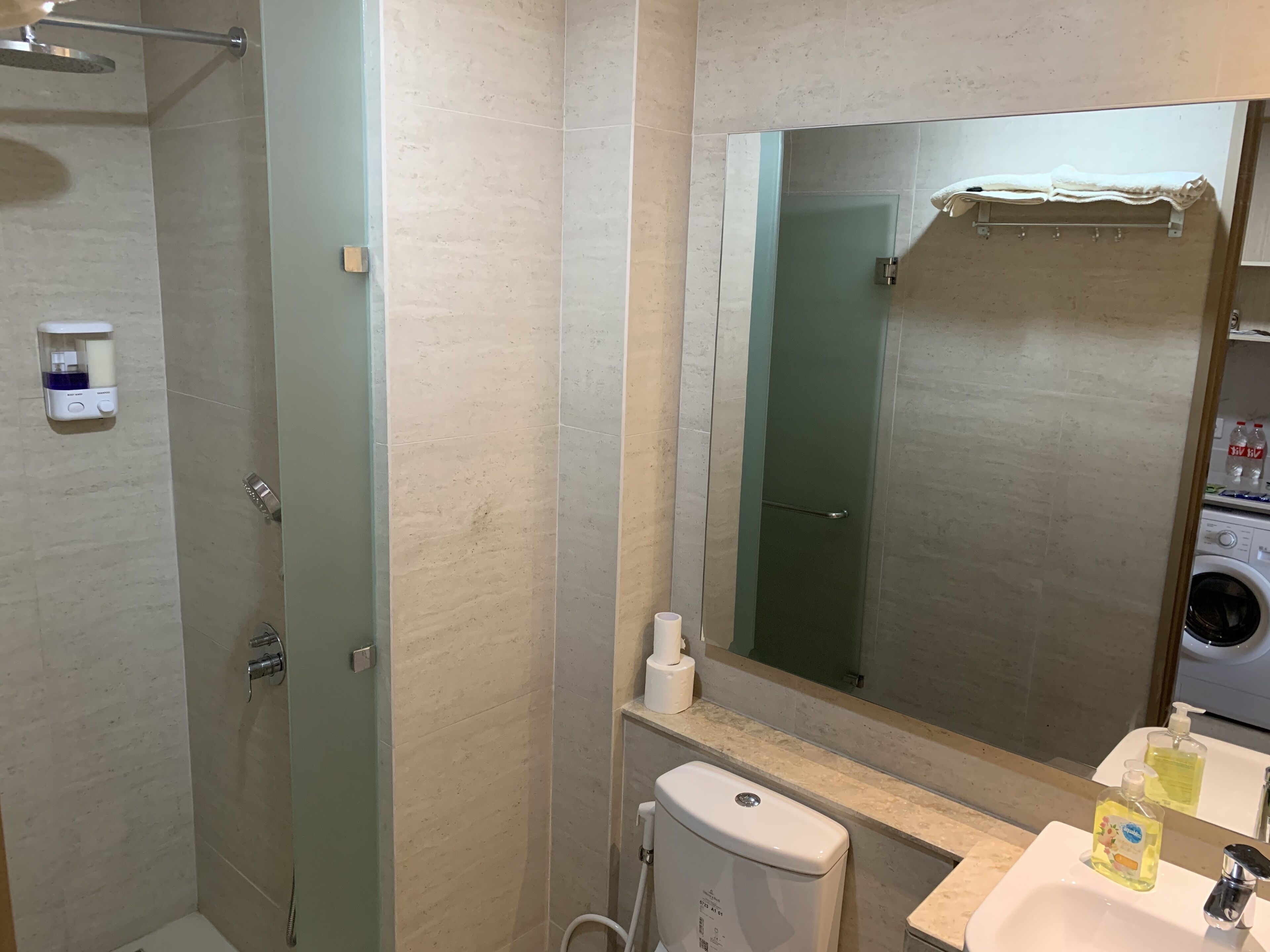 A bathroom with a glass-enclosed shower, a toilet, a sink with a mirror above it, and a washing machine in the background.
