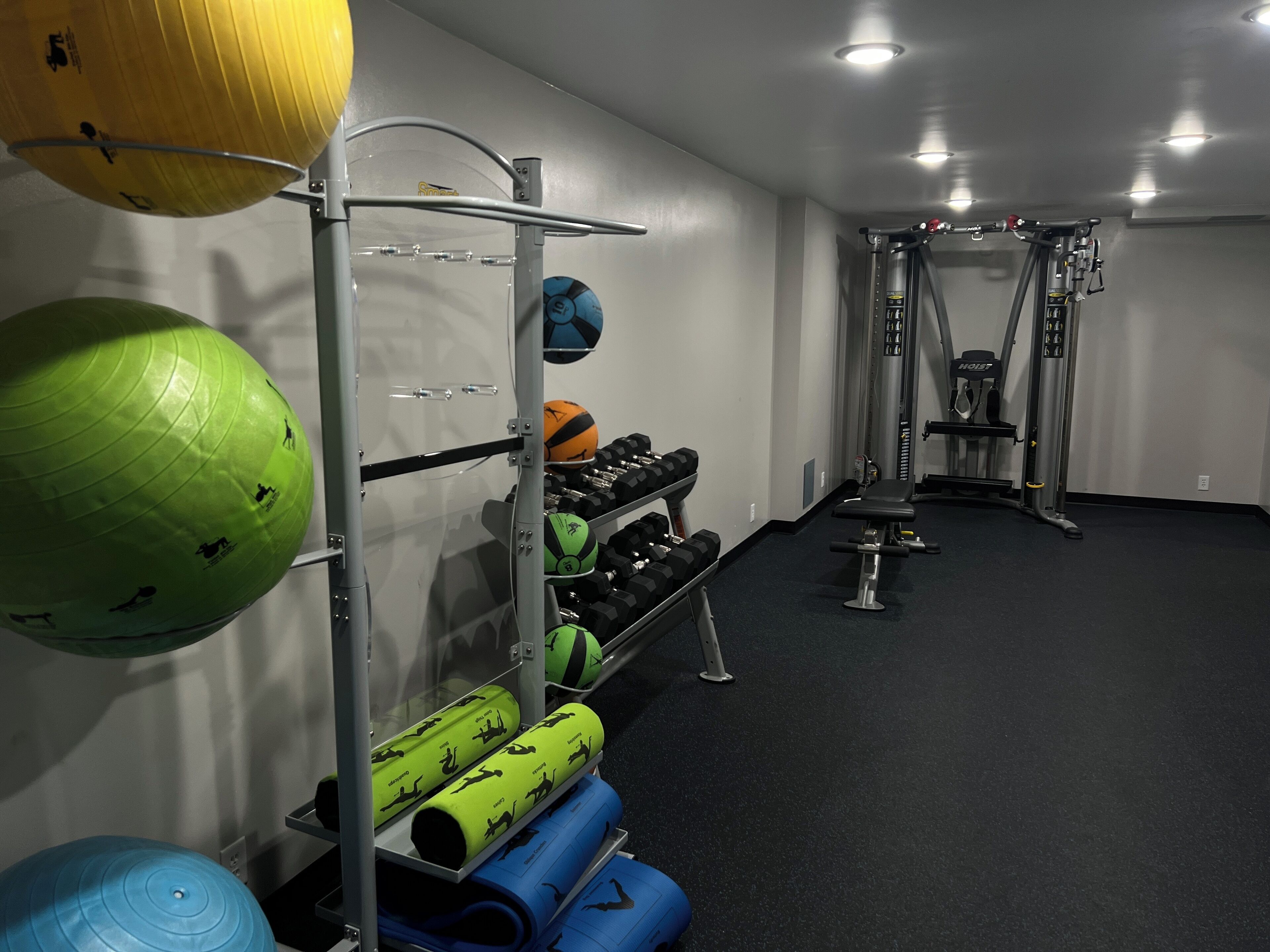 Une salle de sport équipée de matériel d’exercice, notamment un support avec des balles lestées, des haltères et des élastiques de résistance.