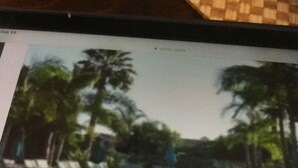 A pool area with clear water, surrounded by greenery and palm trees. - Beautifully situated above the Pacific within a tranquil natural sactunctuary. (Carlsbad)