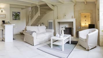 TV, fireplace, books