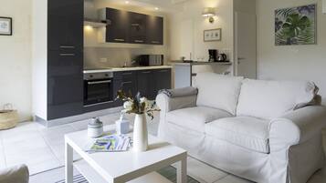 TV, fireplace, books