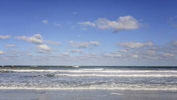 Playa en los alrededores