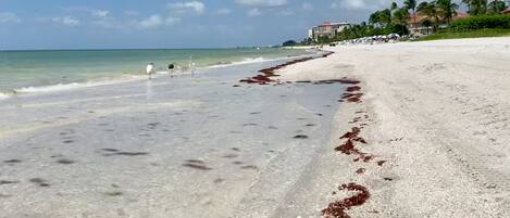 In Strandnähe, Liegestühle, Strandtücher