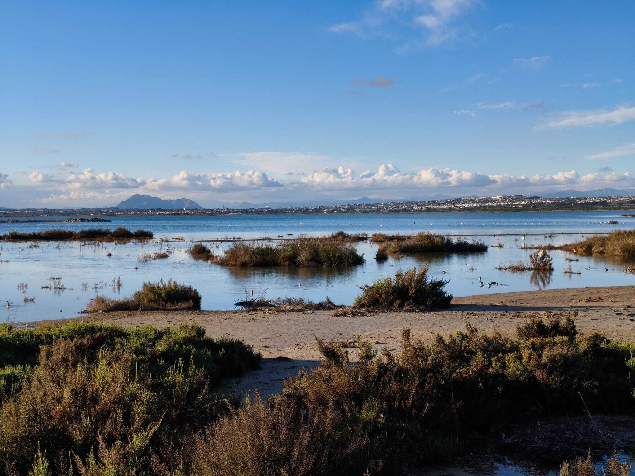 Ubicación cercana a la playa y tumbonas