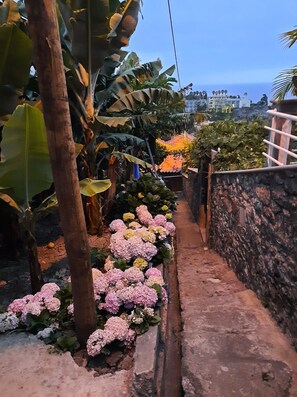 Property grounds - Charm of the Sun - Ponta do Sol (Madeira)