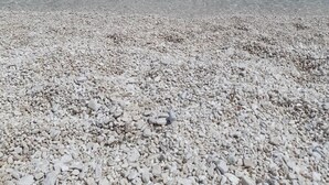 A pebbly beach with clear water and distant mountains.
