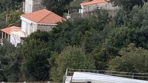 Un barrio residencial con casas rodeadas de árboles frondosos.