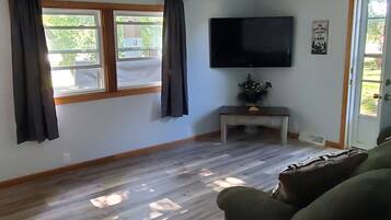 Smart TV, fireplace, DVD player, books