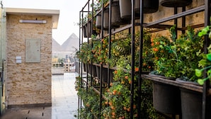 Un pasillo con pared de piedra, estanterías metálicas con plantas en macetas y una vista de una pirámide al fondo.