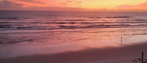 Plage, chaises longues, serviettes de plage