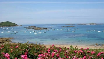 Plage, serviettes de plage