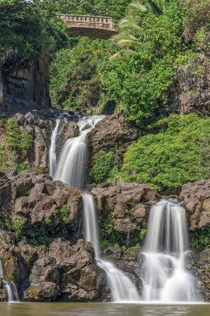 Uklassifisert bilde, 5 av 64, knapp