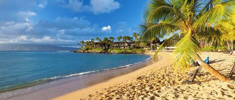 Beach nearby