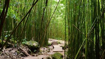 Área da propriedade