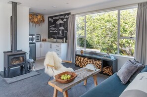 Smart TV, fireplace, DVD player, books