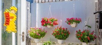 Homestay Xo Viet Nghe Tinh