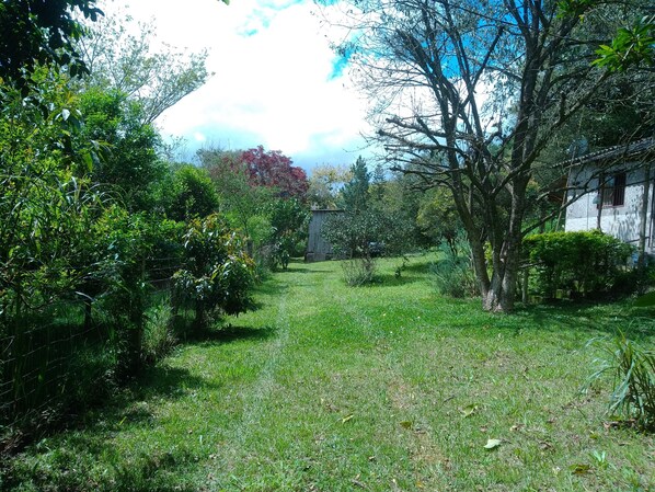 Área da propriedade