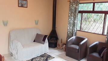 Televisión, chimenea y libros