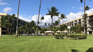 Un hotel con un amplio césped, palmeras y un cielo azul despejado.