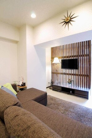 Fernseher, Arbeitsbereiche