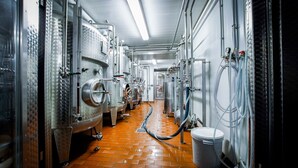 A stainless steel brewery with rows of fermentation tanks and a central walkway. - Brewery Gasthof Zwönitz, owner Dominik Naumann - Double room (Zwönitz)