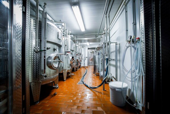 Une brasserie en acier inoxydable, avec des rangées de cuves de fermentation et une allée centrale.